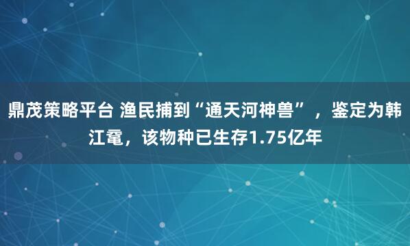 鼎茂策略平台 渔民捕到“通天河神兽” ，鉴定为韩江鼋，该物种已生存1.75亿年