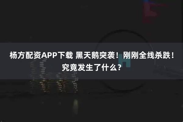 杨方配资APP下载 黑天鹅突袭!刚刚全线杀跌!究竟发生了什么?