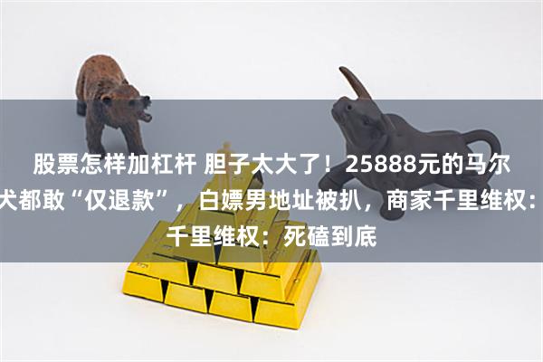 股票怎样加杠杆 胆子太大了！25888元的马尔济斯名贵犬都敢“仅退款”，白嫖男地址被扒，商家千里维权：死磕到底