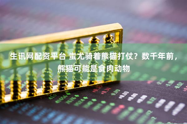 生讯网配资平台 蚩尤骑着熊猫打仗？数千年前，熊猫可能是食肉动物