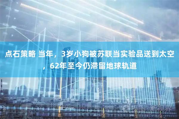 点石策略 当年，3岁小狗被苏联当实验品送到太空，62年至今仍滞留地球轨道