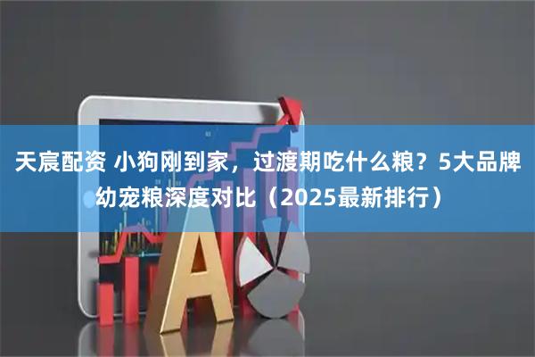 天宸配资 小狗刚到家，过渡期吃什么粮？5大品牌幼宠粮深度对比（2025最新排行）