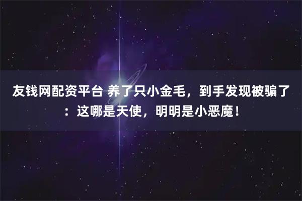 友钱网配资平台 养了只小金毛，到手发现被骗了：这哪是天使，明明是小恶魔！