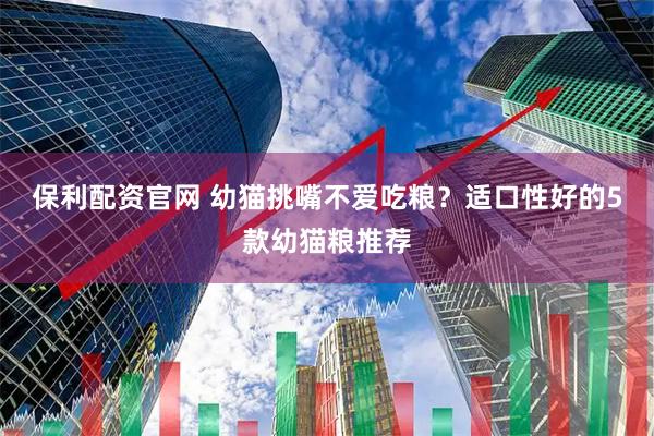 保利配资官网 幼猫挑嘴不爱吃粮？适口性好的5款幼猫粮推荐
